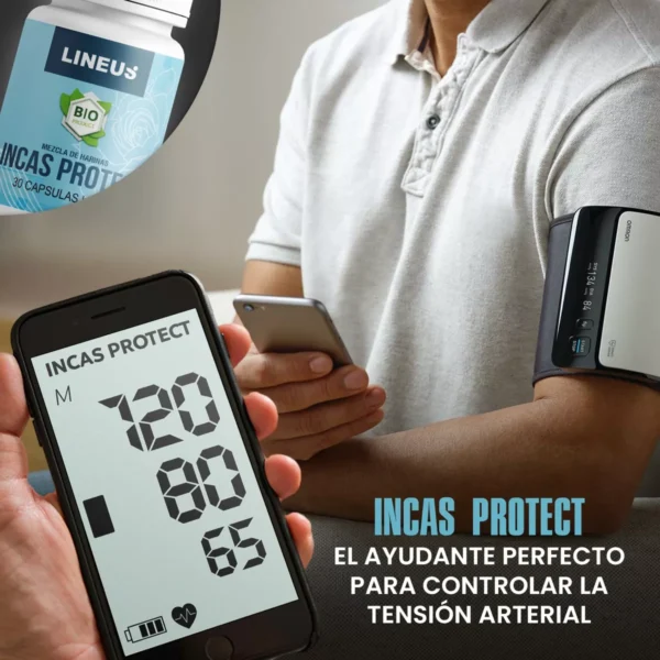 Incas Protect - Optimiza El Funcionamiento De La Circulación