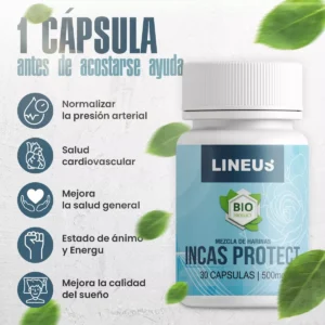 Incas Protect - Optimiza El Funcionamiento De La Circulación